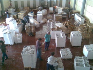 Sistema visitable acrílico 5